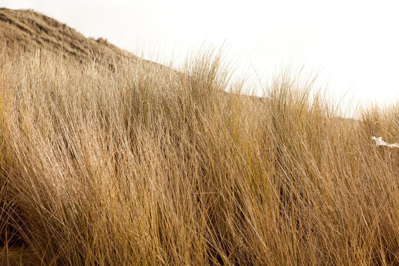 Vakantiehuis Hof Aan Zee